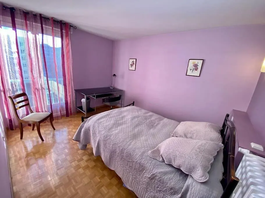 Le Puy En Velay Centre Apartment