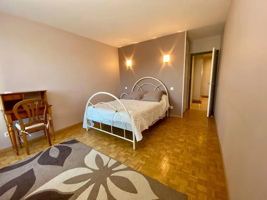 Le Puy En Velay Centre Apartment France